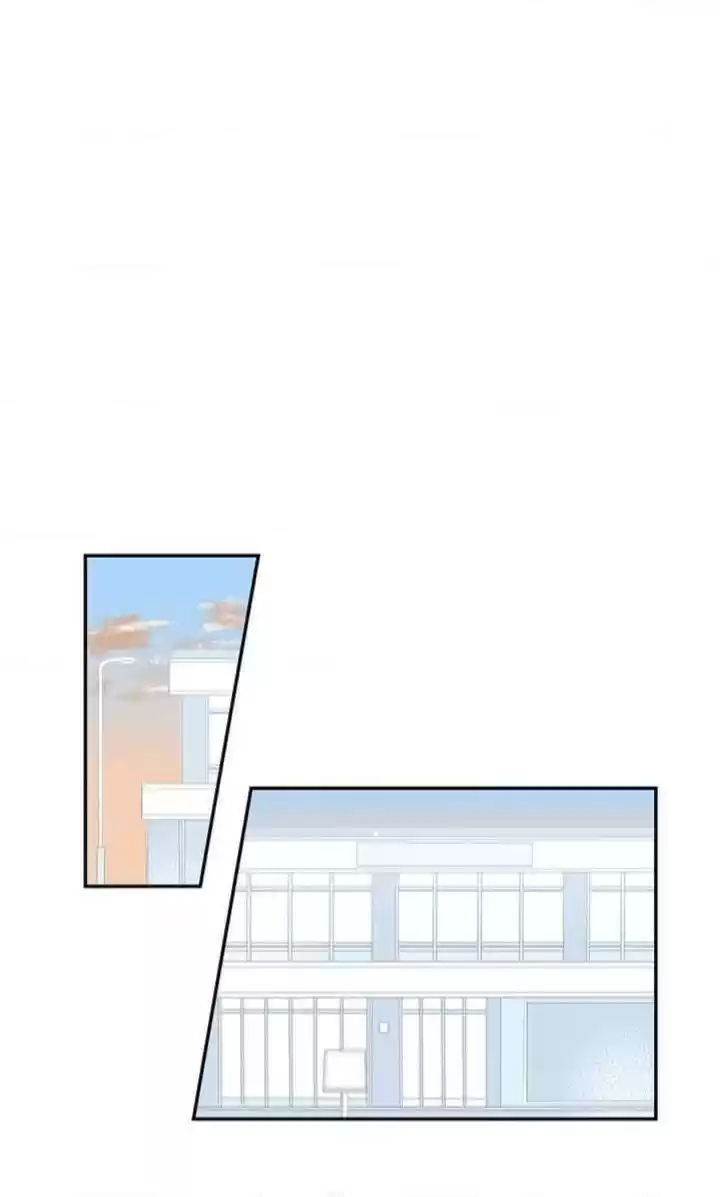 Cherry Blossoms After Winter Chapter 70