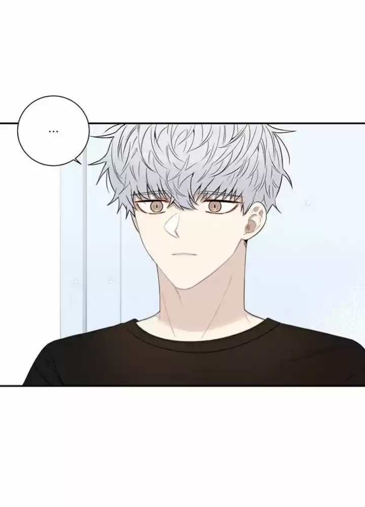 Cherry Blossoms After Winter Chapter 71