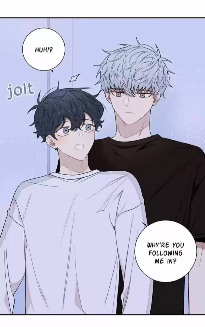 Cherry Blossoms After Winter Chapter 71