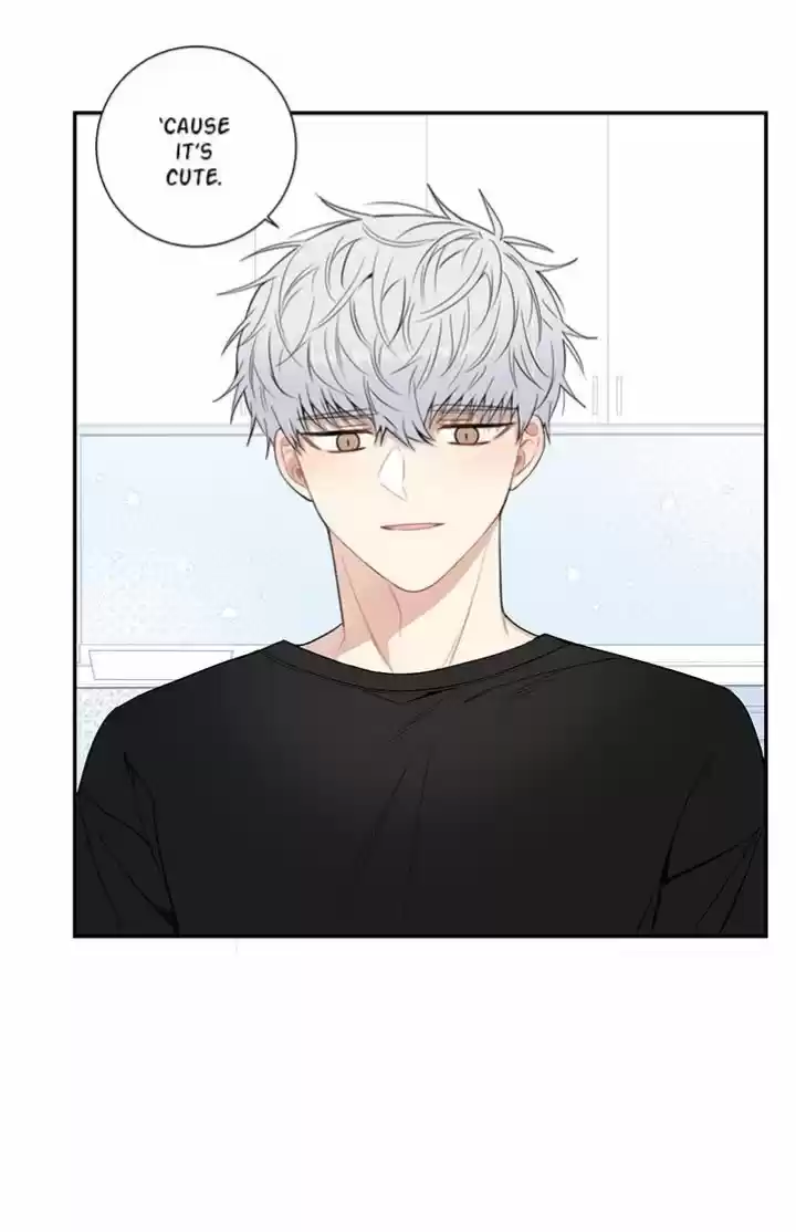 Cherry Blossoms After Winter Chapter 73