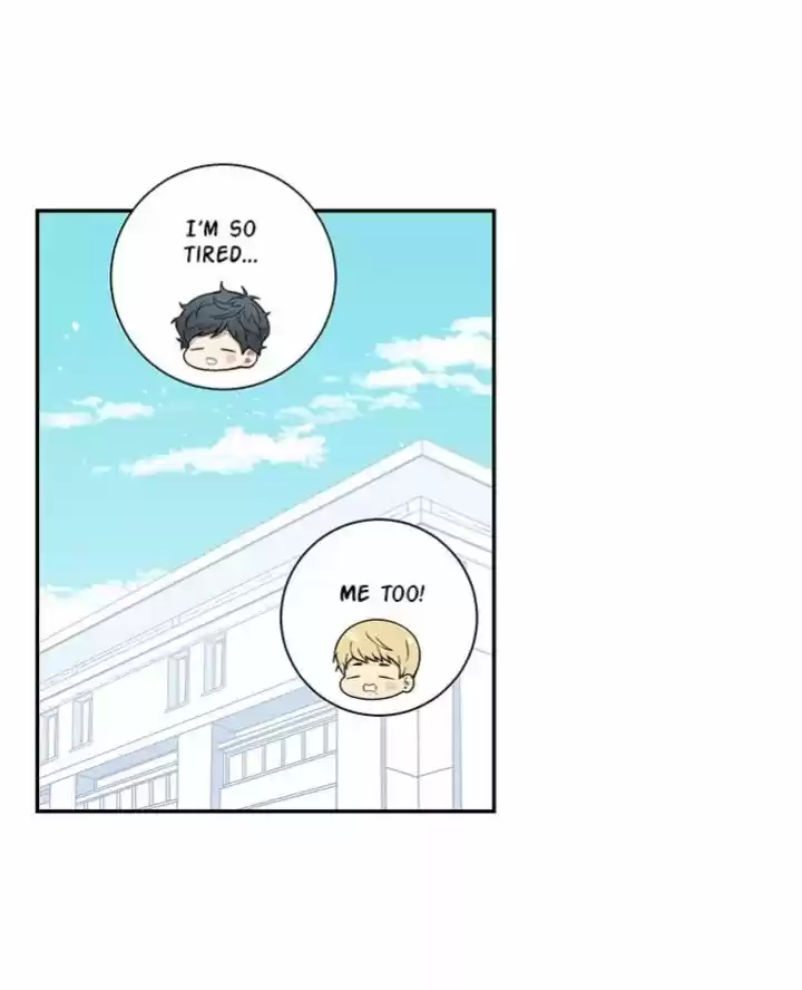 Cherry Blossoms After Winter Chapter 74