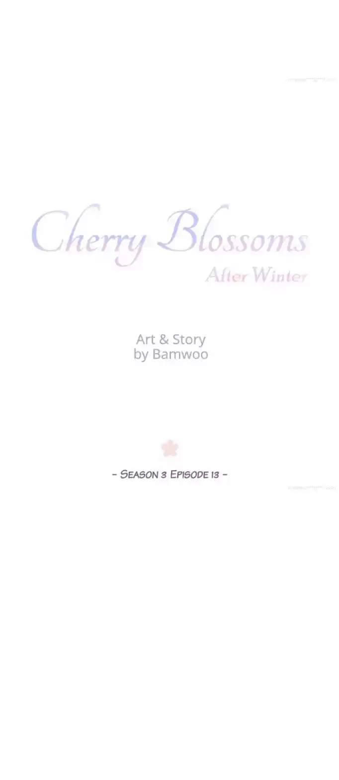 Cherry Blossoms After Winter Chapter 75