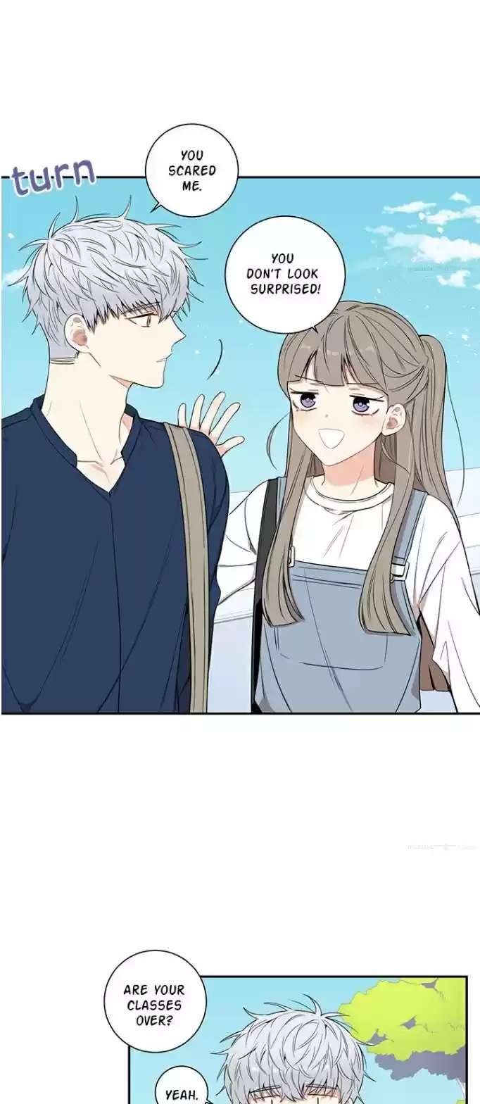 Cherry Blossoms After Winter Chapter 75