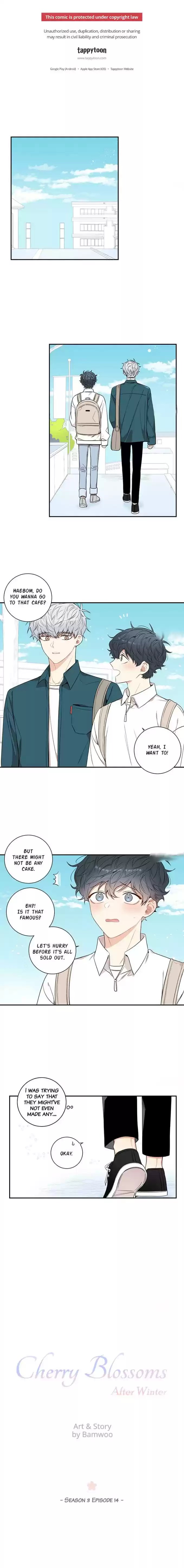 Cherry Blossoms After Winter Chapter 76