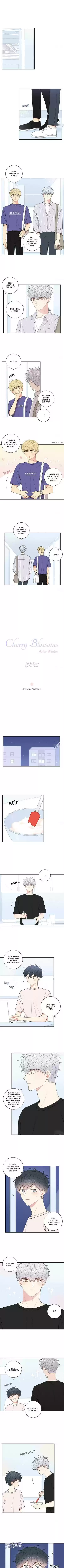 Cherry Blossoms After Winter Chapter 79