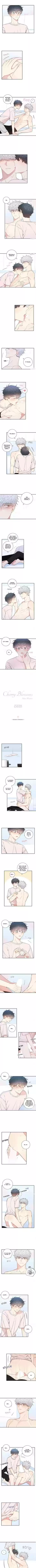 Cherry Blossoms After Winter Chapter 80