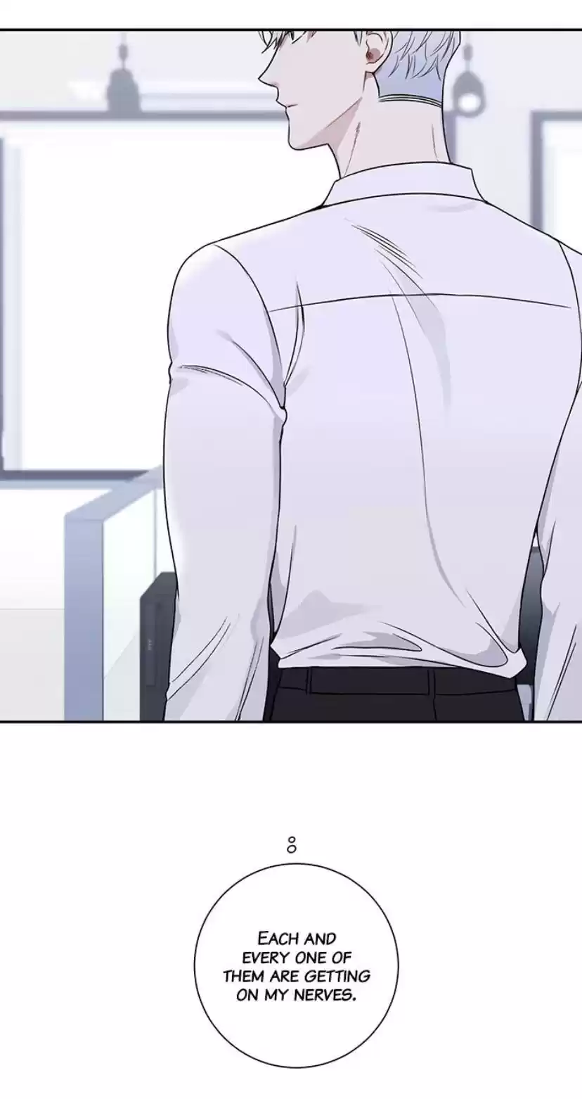 Cherry Blossoms After Winter Chapter 97