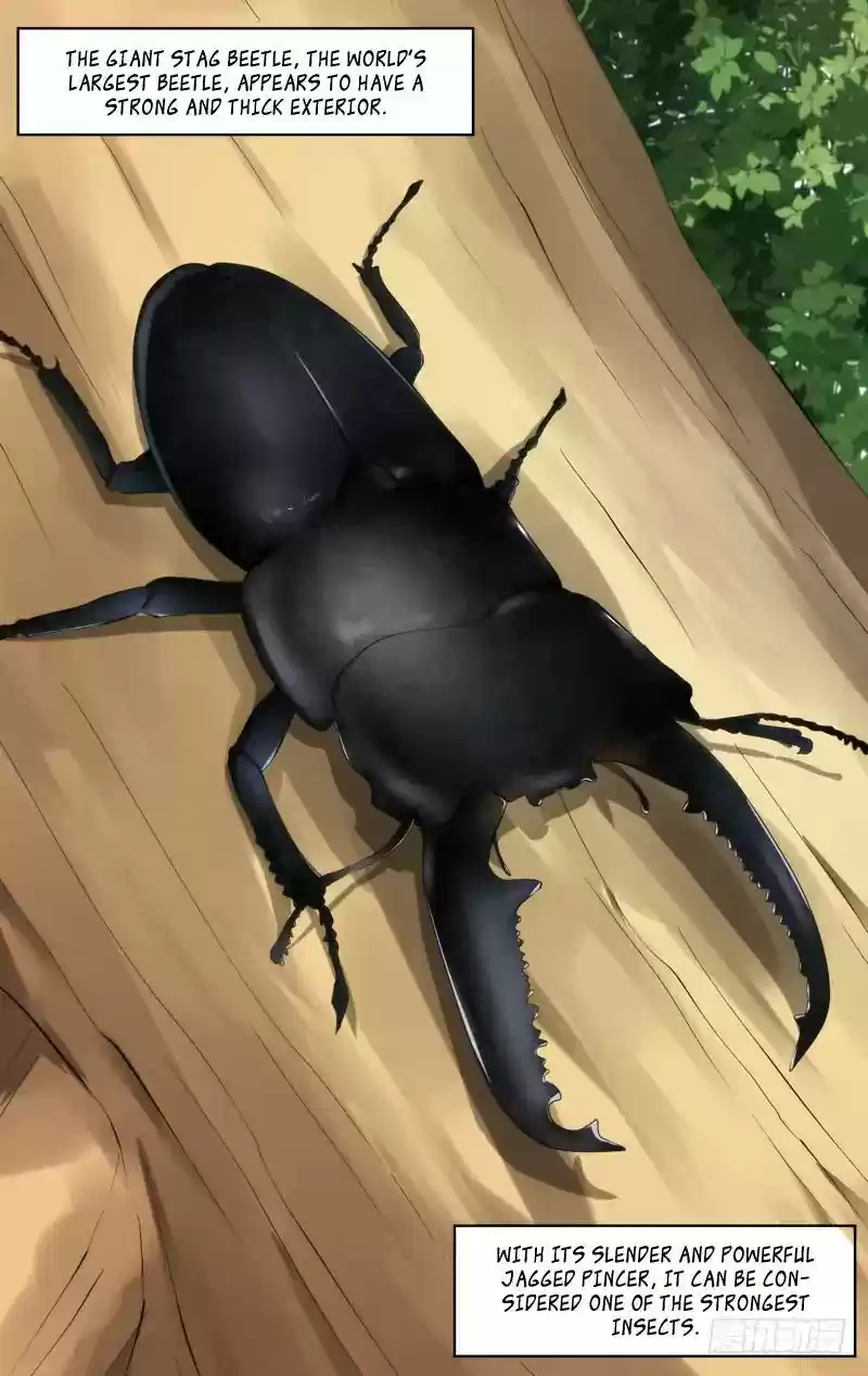 Chong Sheng - Resurrection 152