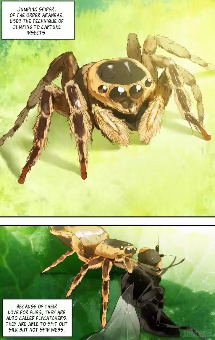 Chong Sheng - Resurrection 73