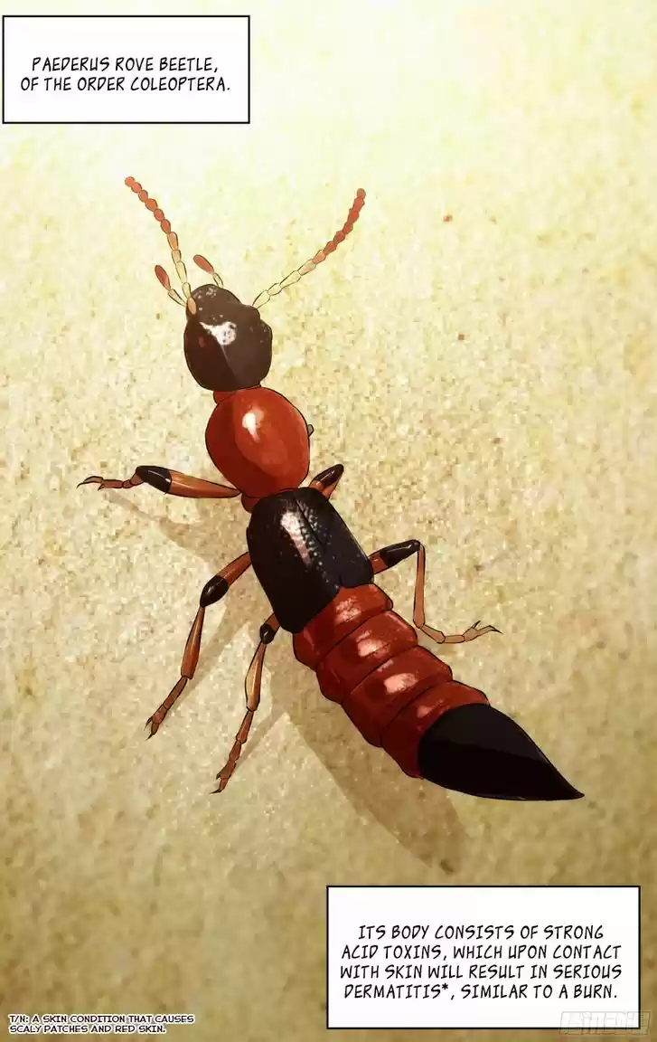 Chong Sheng - Resurrection 74