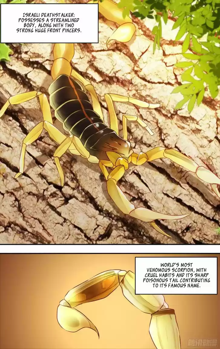 Chong Sheng - Resurrection 78