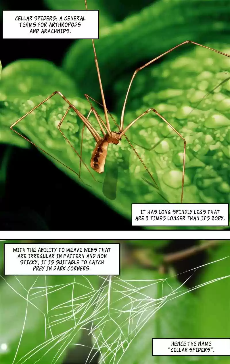 Chong Sheng Resurrection Ch. 145