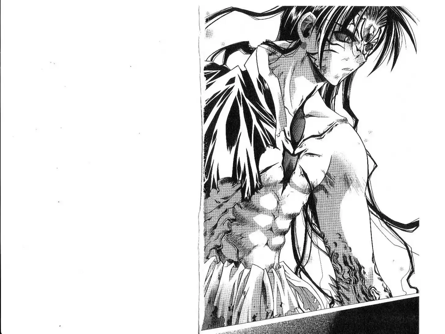 Chronicles of the Cursed Sword 11