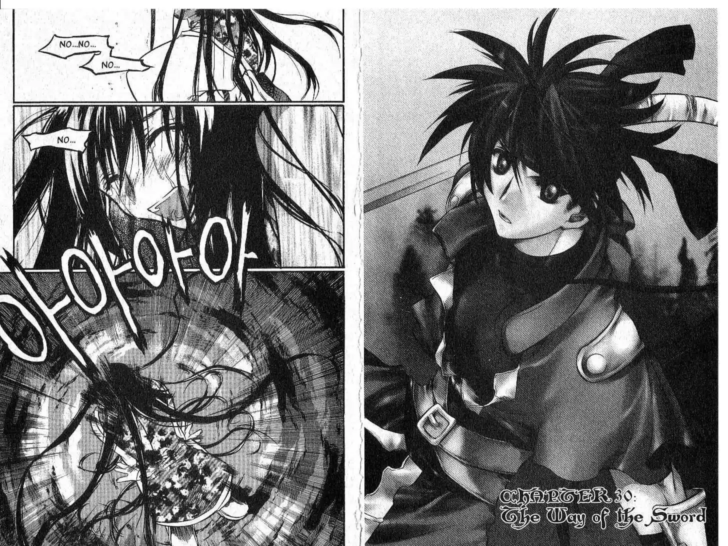 Chronicles of the Cursed Sword 30