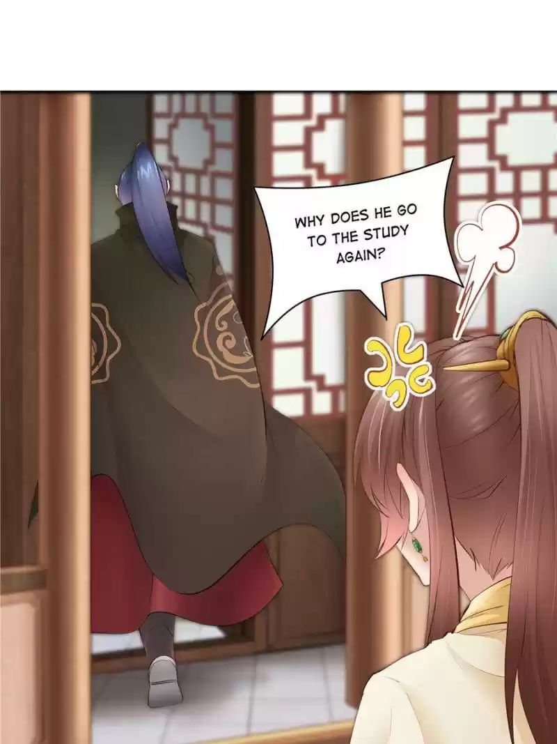 Cinderella Chef Chapter 100