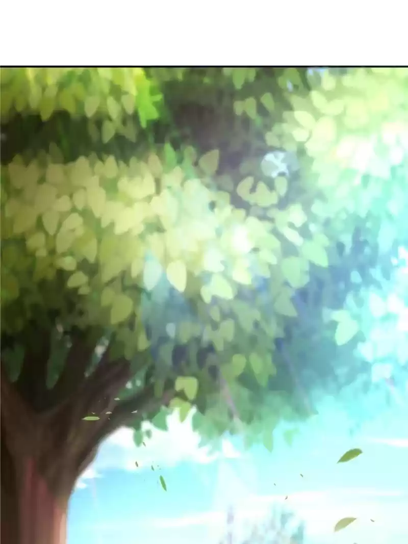 Cinderella Chef Chapter 109