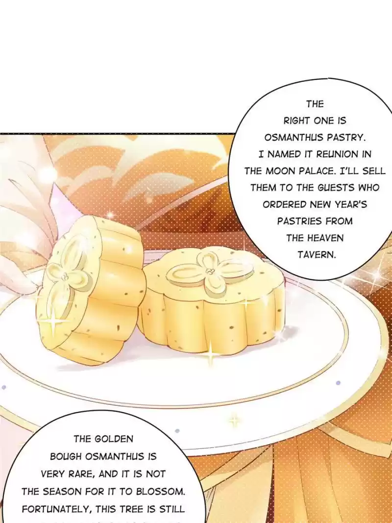 Cinderella Chef Chapter 111