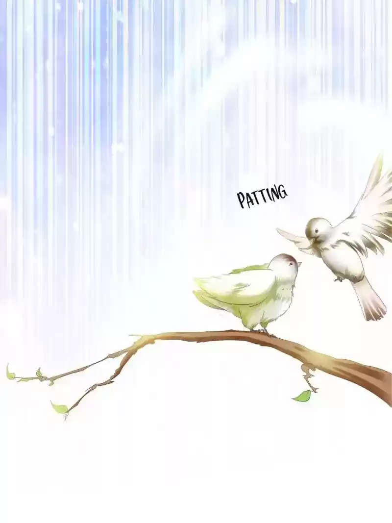 Cinderella Chef Chapter 13: