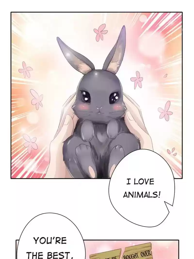 Cinderella Chef Chapter 13: