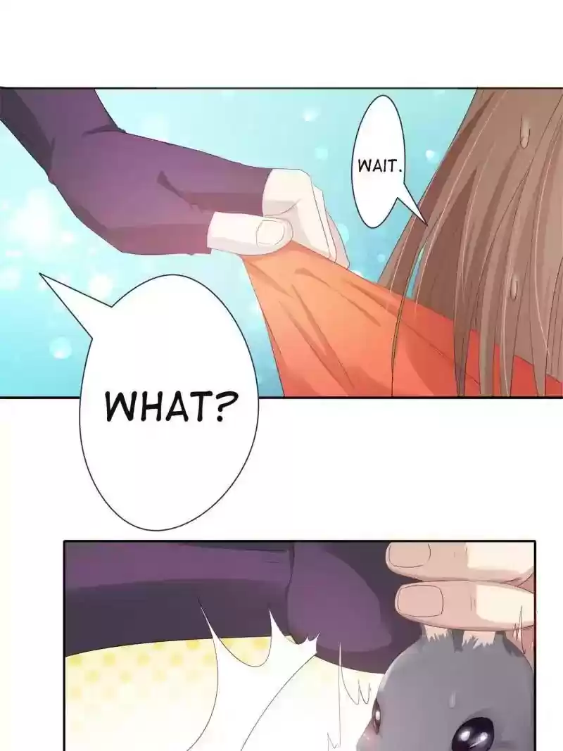 Cinderella Chef Chapter 14: