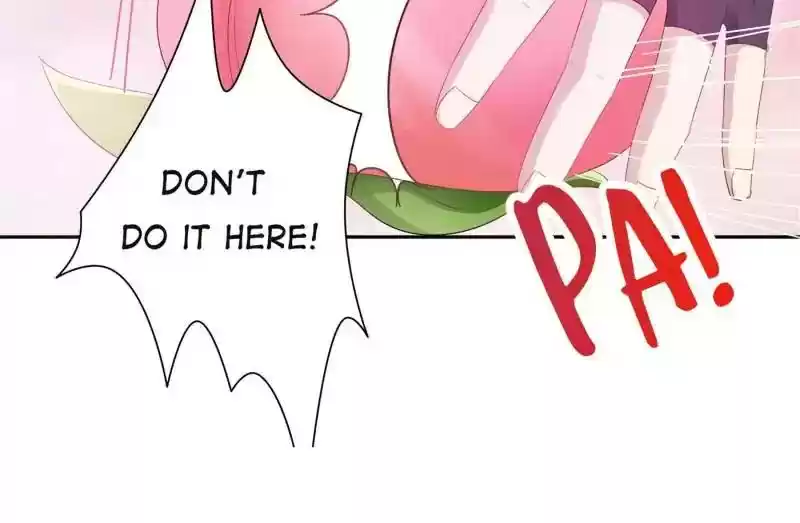 Cinderella Chef Chapter 14: