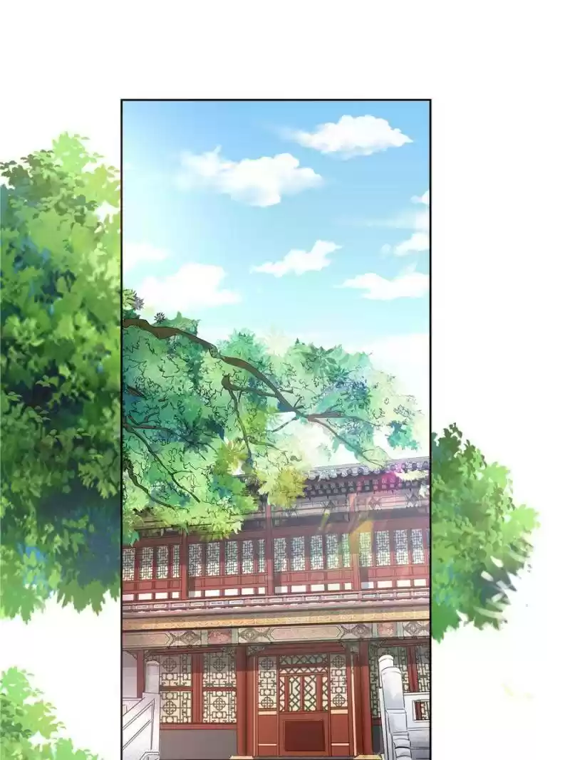 Cinderella Chef Chapter 146