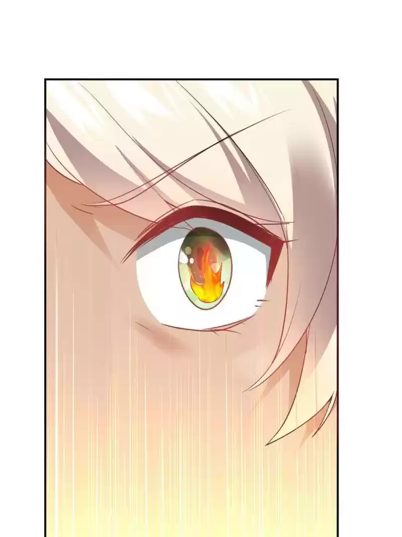 Cinderella Chef Chapter 150