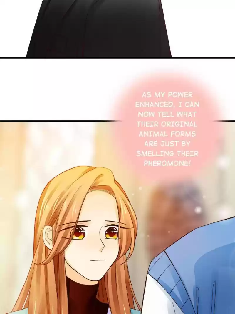 Cinderella Chef Chapter 153