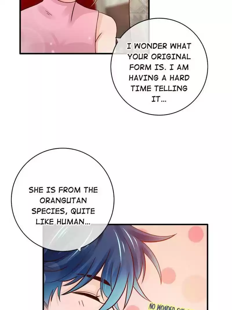 Cinderella Chef Chapter 153