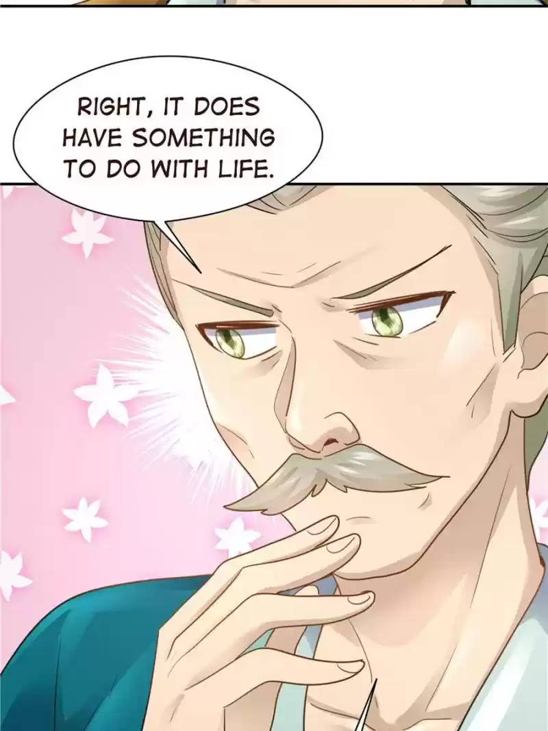 Cinderella Chef Chapter 162