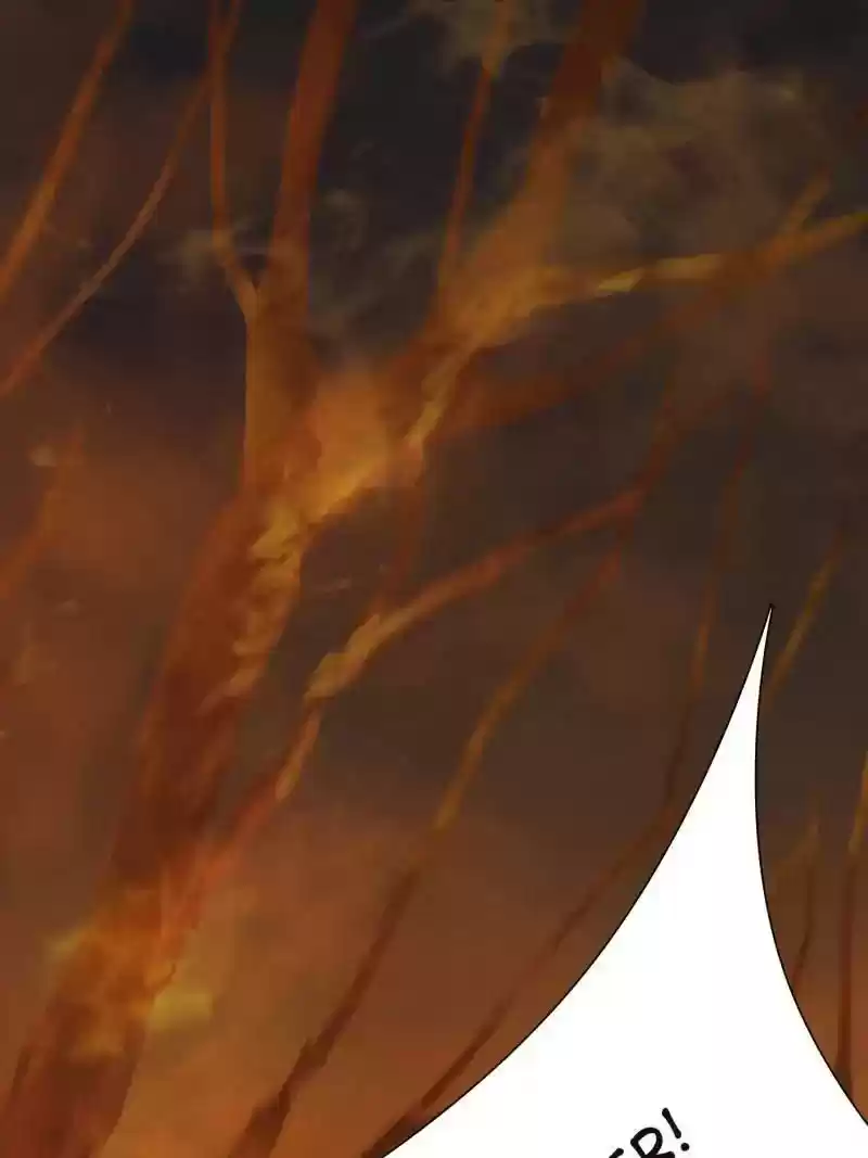 Cinderella Chef Chapter 18: