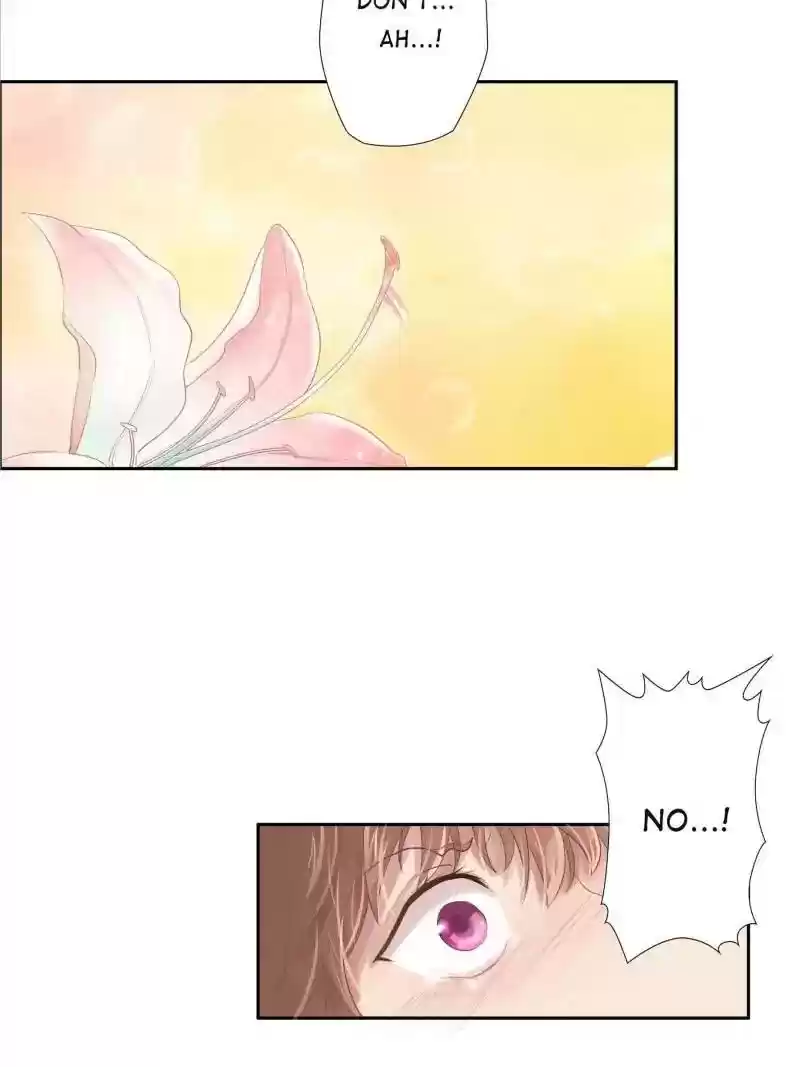 Cinderella Chef Chapter 2: