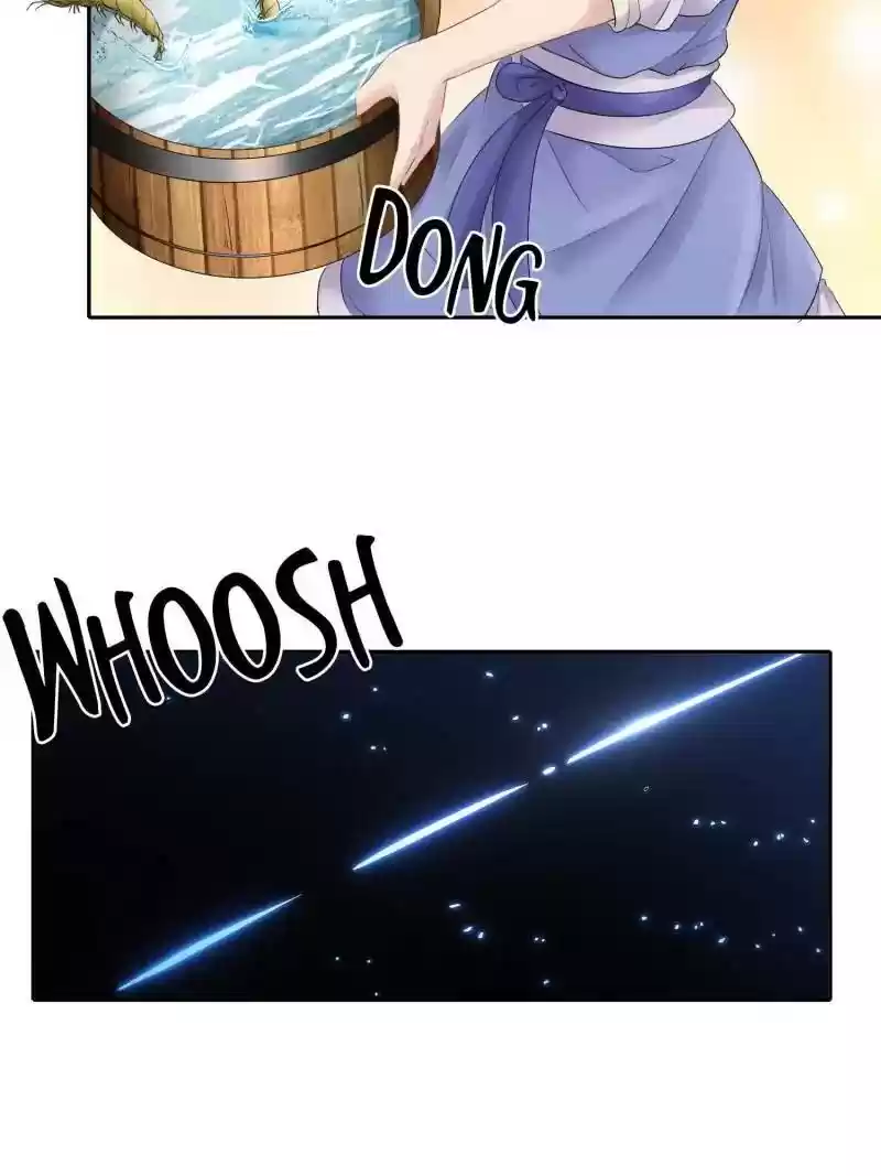 Cinderella Chef Chapter 25: