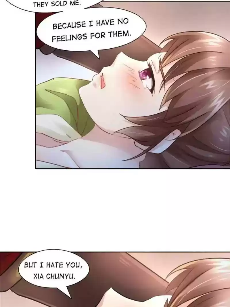 Cinderella Chef Chapter 29: