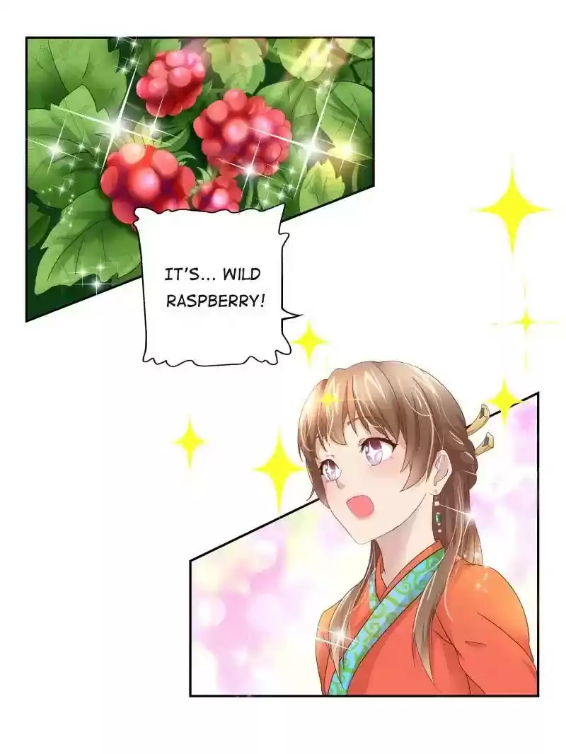 Cinderella Chef Chapter 3: