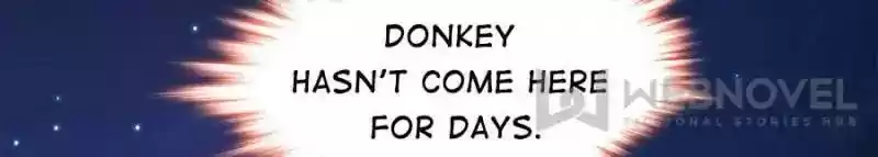 Cinderella Chef Chapter 49: