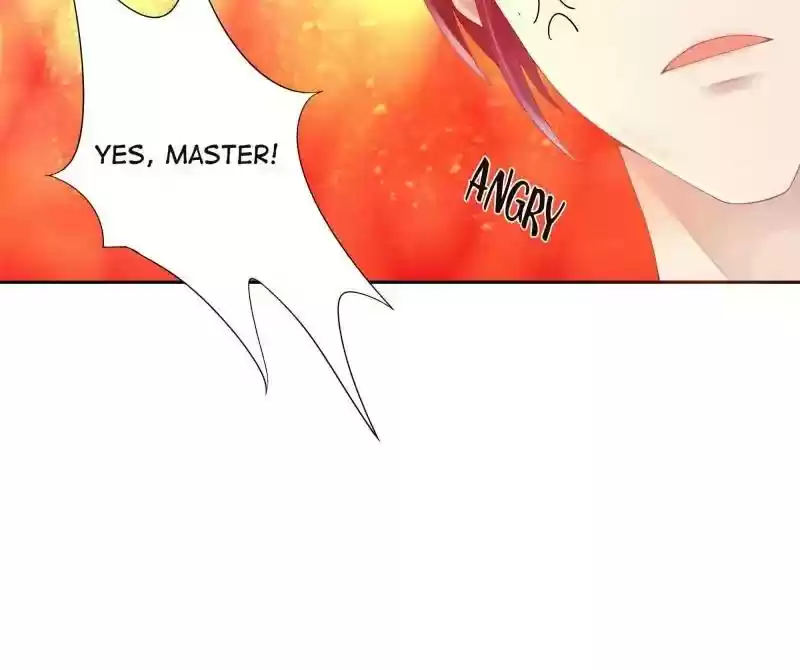 Cinderella Chef Chapter 5: