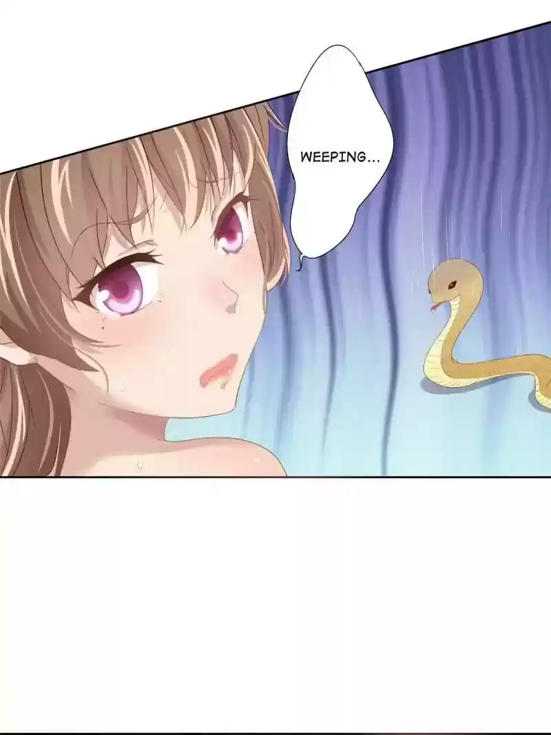 Cinderella Chef Chapter 6: