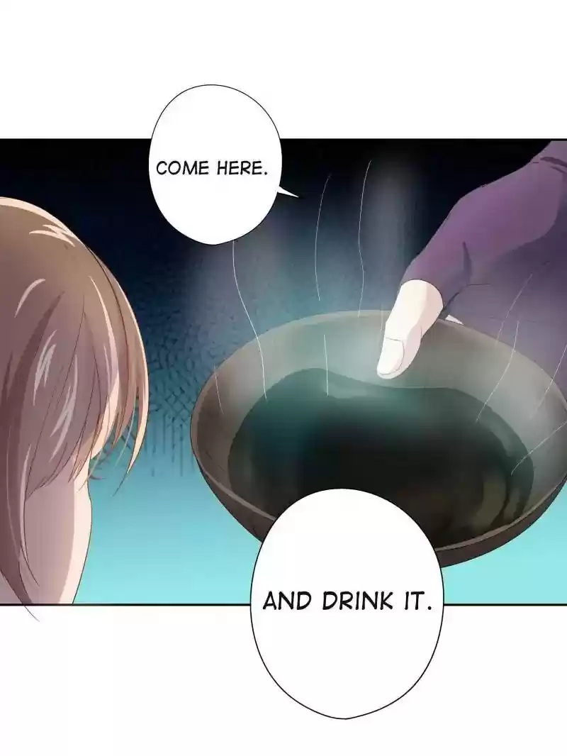 Cinderella Chef Chapter 8: