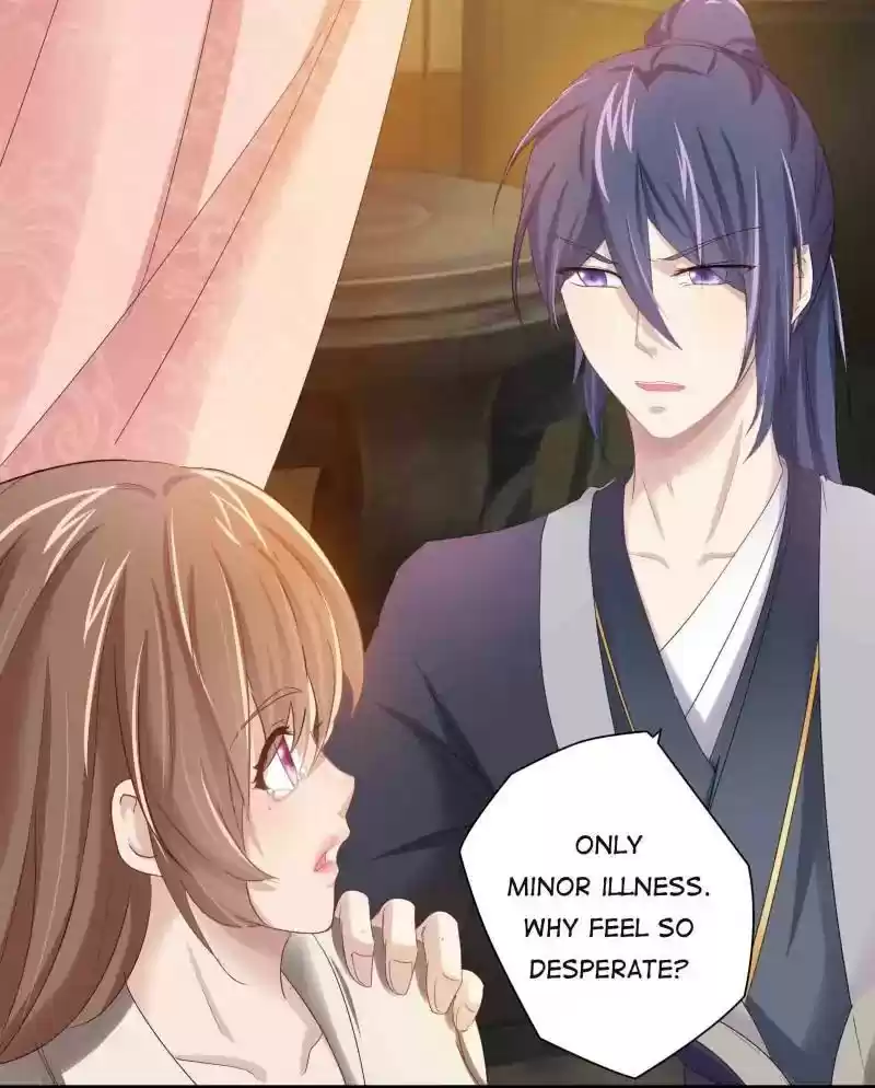 Cinderella Chef Chapter 8: