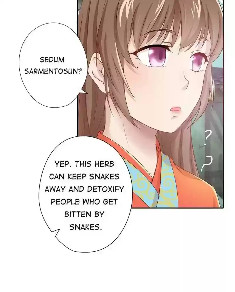 Cinderella Chef Chapter 9: