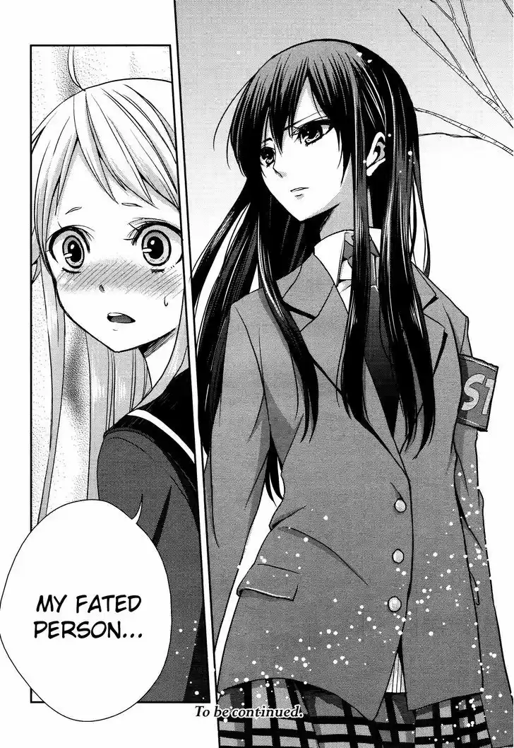 Citrus (Saburouta) 13