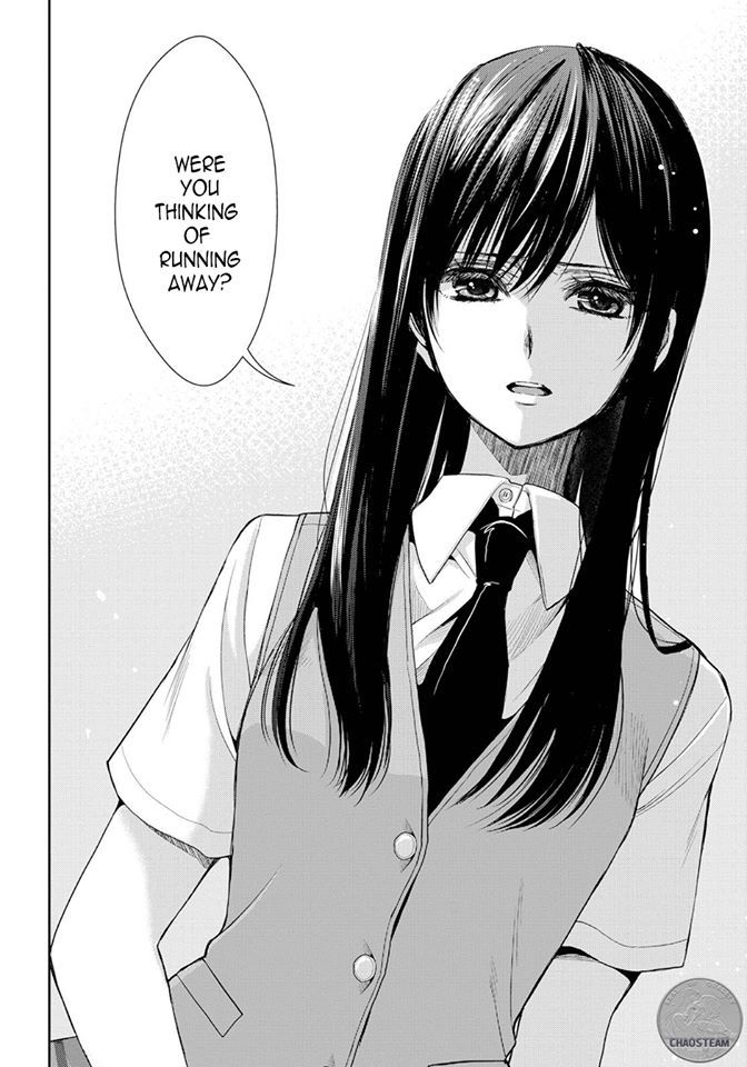 Citrus (Saburouta) 24.1