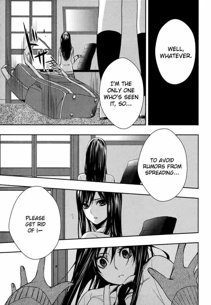 Citrus (Saburouta) 4