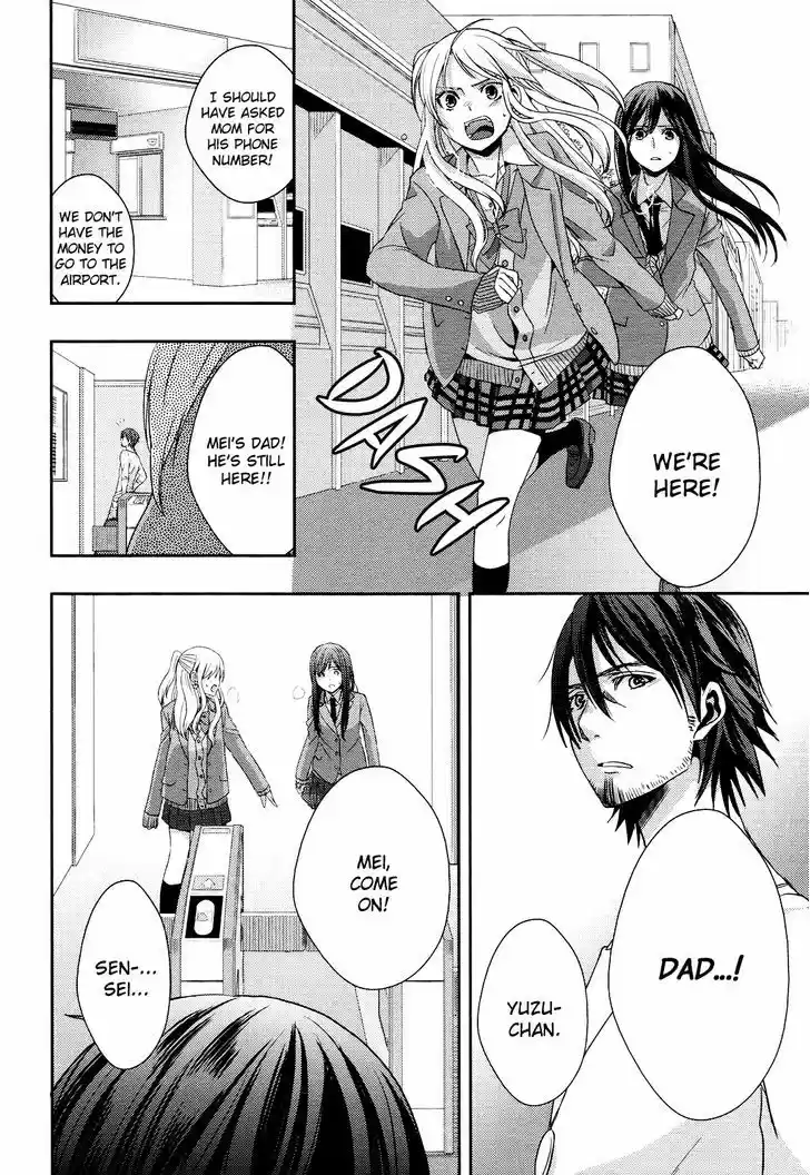 Citrus (Saburouta) 8