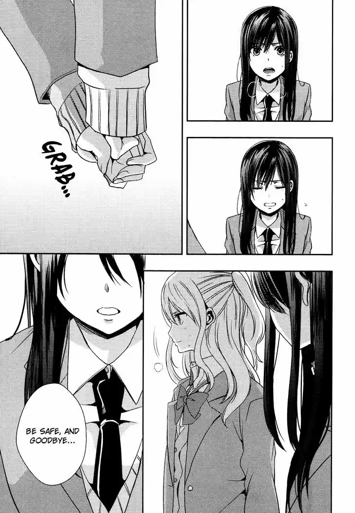Citrus (Saburouta) 8