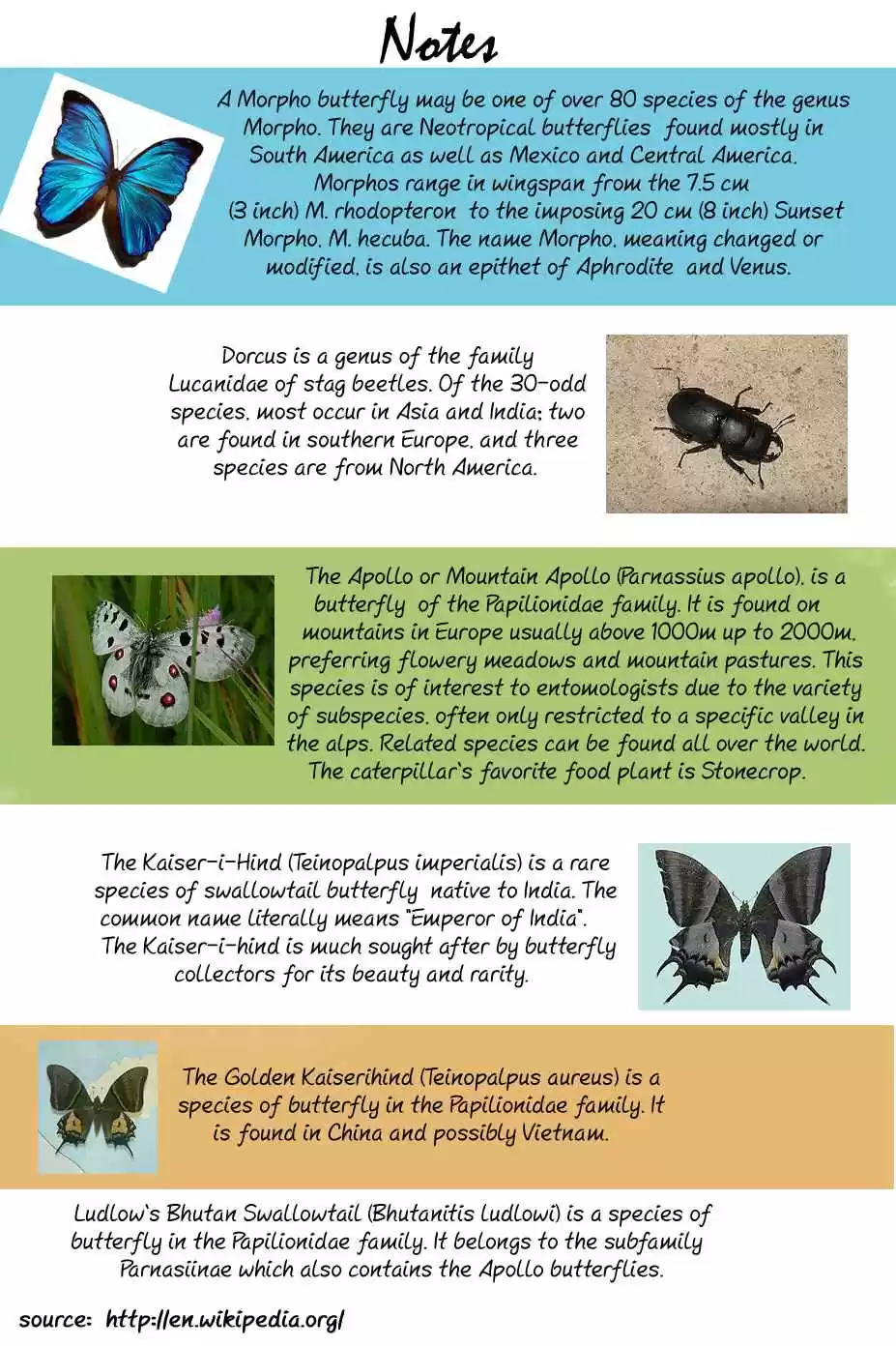 C.M.B Vol. 1 Ch. 1.3 Mimicry (Part 3)