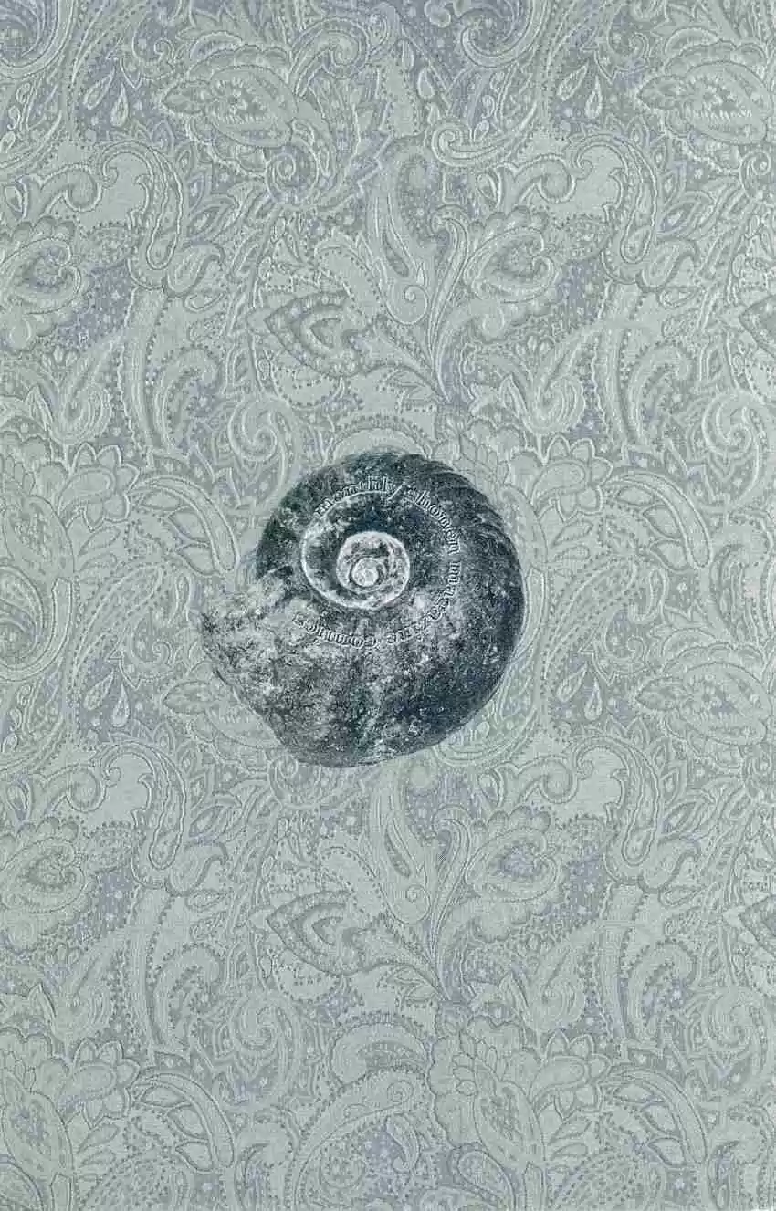 C.M.B Vol. 23 Ch. 71 Sports Ground