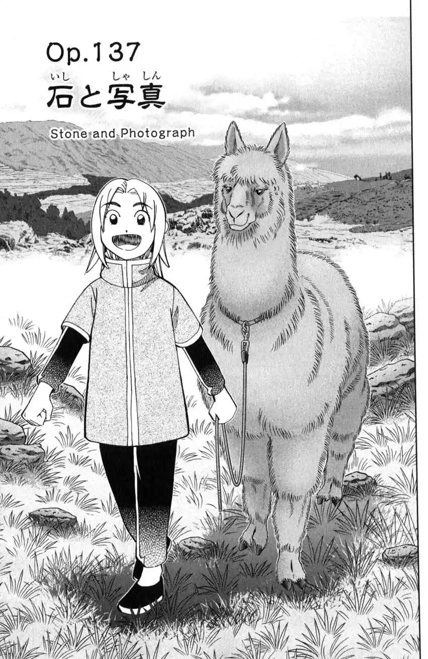 C.M.B. Vol. 41 Ch. 137 Stone and Photograph