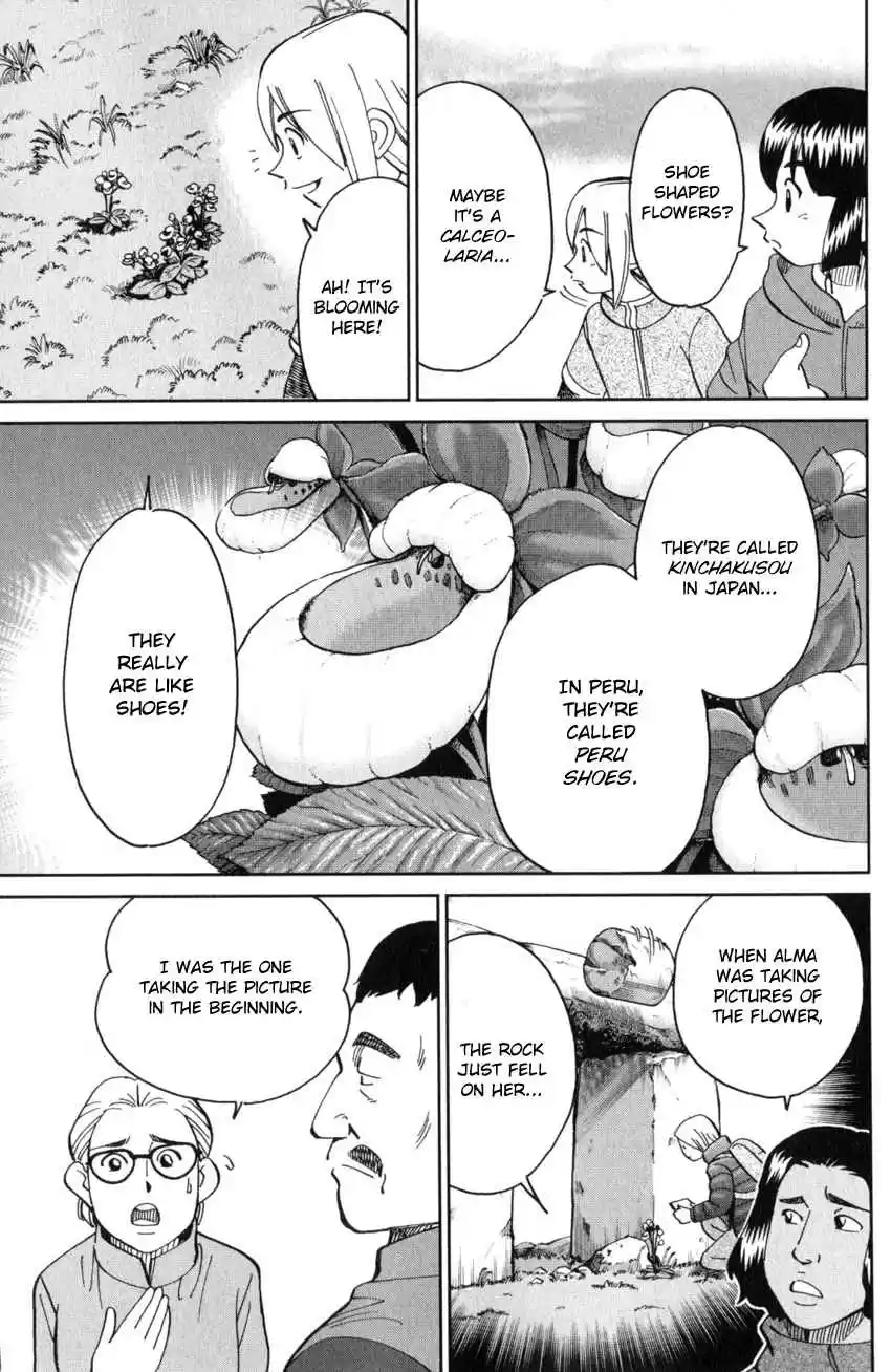 C.M.B. Vol. 41 Ch. 137 Stone and Photograph